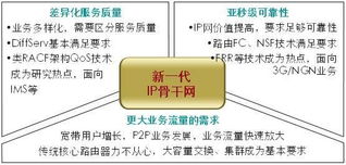 下一代數據網網絡技術與業務 技術演進與服務創新